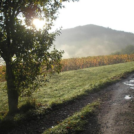 Grange Renovee En Pleine Nature Valady Luaran gambar