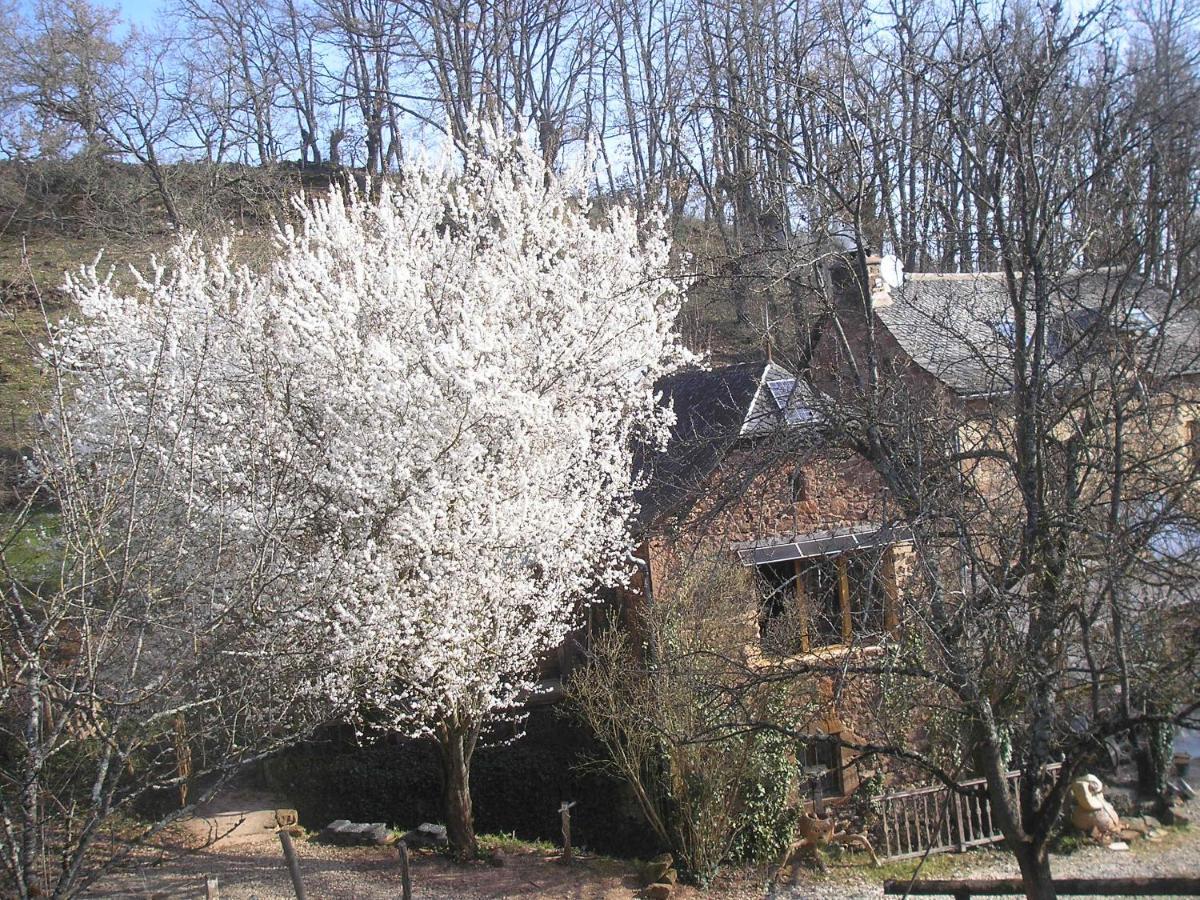 Grange Renovee En Pleine Nature Valady Luaran gambar