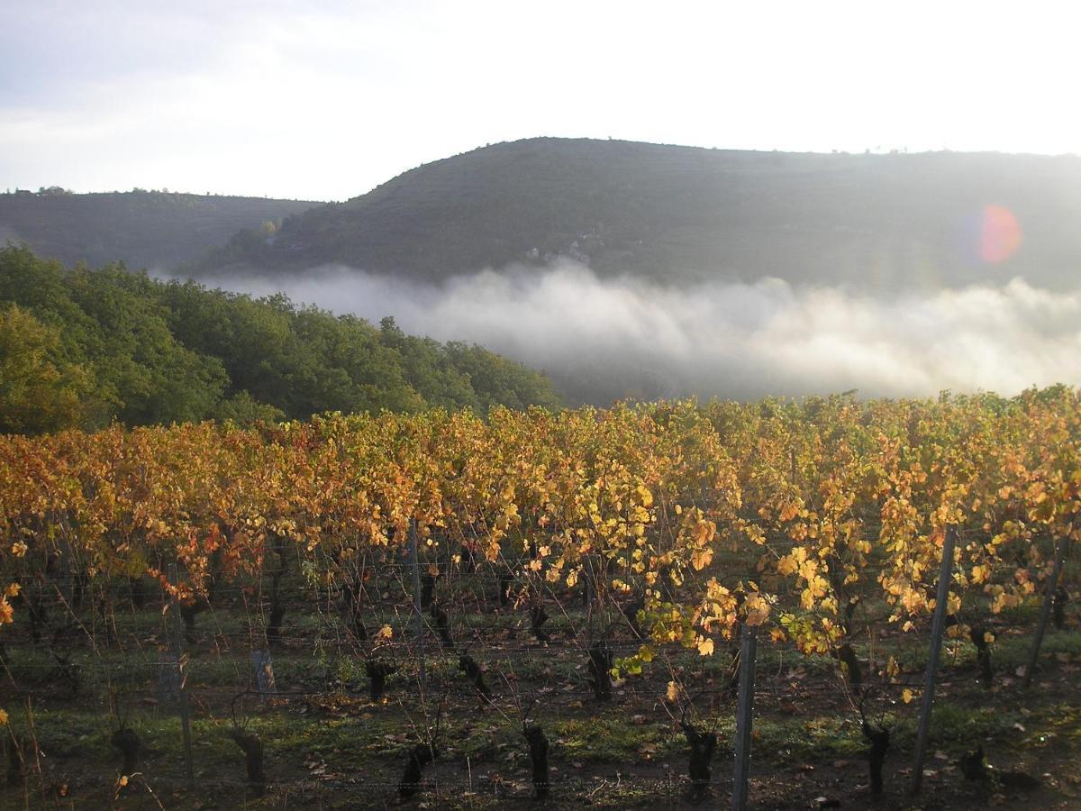 Grange Renovee En Pleine Nature Valady Luaran gambar
