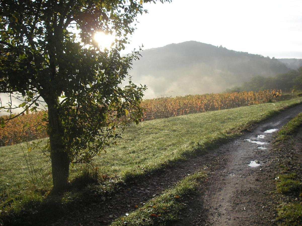 Grange Renovee En Pleine Nature Valady Luaran gambar